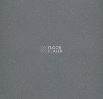 Линолеум Forbo Eternal Colour 40092 granite фото 1 | FLOORDEALER